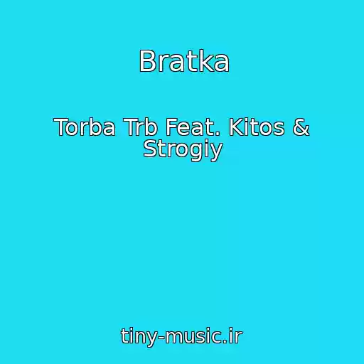 کاور آهنگ Bratka از Torba Trb Feat. Kitos & Strogiy