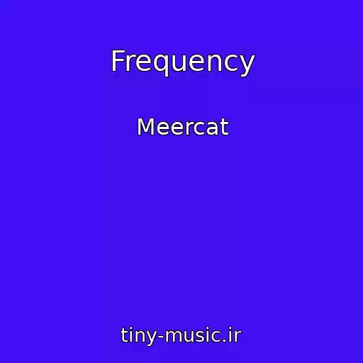 کاور آهنگ Frequency از Meercat