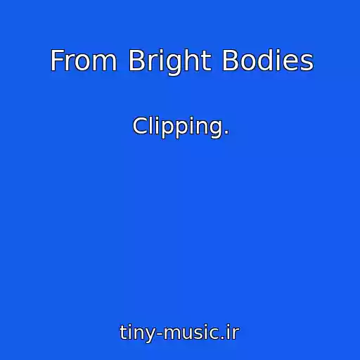 کاور آهنگ From Bright Bodies از Clipping.