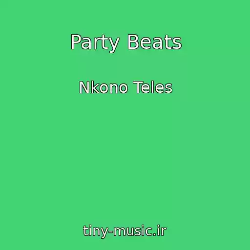 کاور آهنگ Party Beats از Nkono Teles