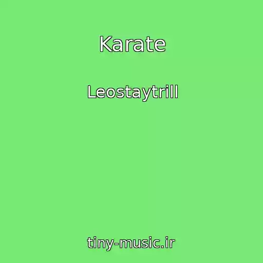 کاور آهنگ Karate از Leostaytrill