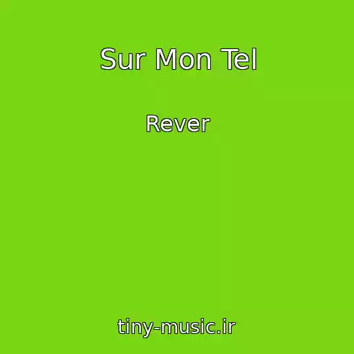 کاور آهنگ Sur Mon Tel از Rever