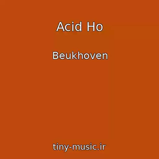 کاور آهنگ Acid Ho از Beukhoven
