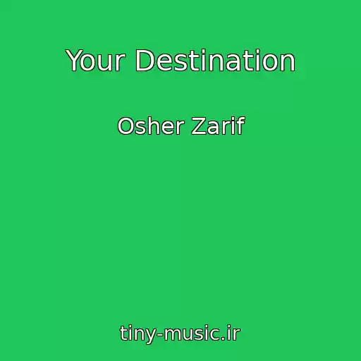 کاور آهنگ Your Destination از Osher Zarif