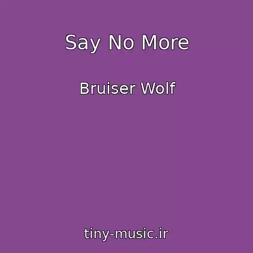 کاور آهنگ Say No More از Bruiser Wolf