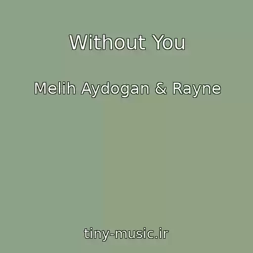 کاور آهنگ Without You از Melih Aydogan & Rayne
