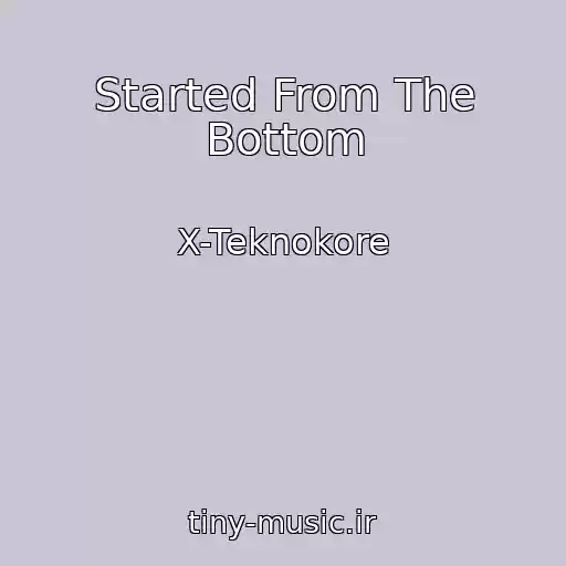کاور آهنگ Started From The Bottom از X-Teknokore