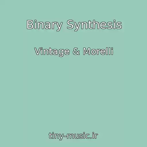 کاور آهنگ Binary Synthesis از Vintage & Morelli