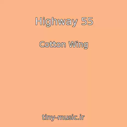 کاور آهنگ Highway 55 از Cotton Wing