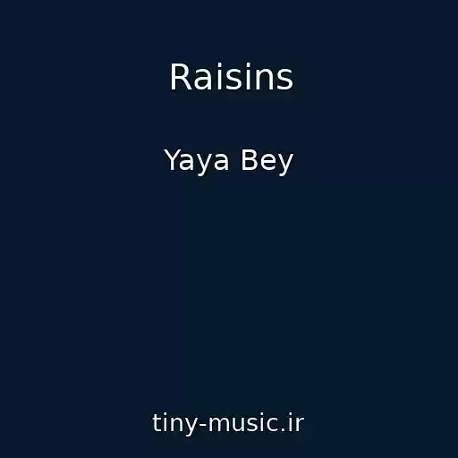 کاور آهنگ Raisins از Yaya Bey