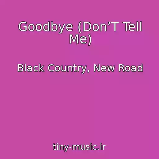 کاور آهنگ Goodbye (Don’T Tell Me) از Black Country, New Road