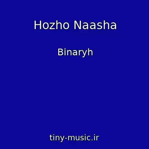 کاور آهنگ Hozho Naasha از Binaryh