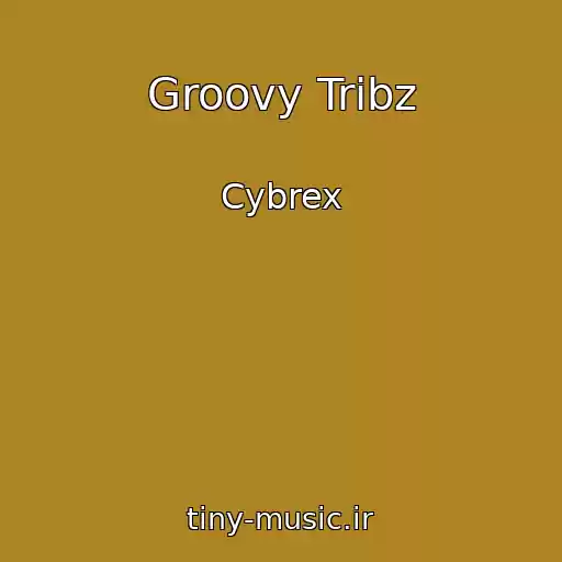 کاور آهنگ Groovy Tribz از Cybrex