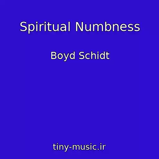 کاور آهنگ Spiritual Numbness از Boyd Schidt