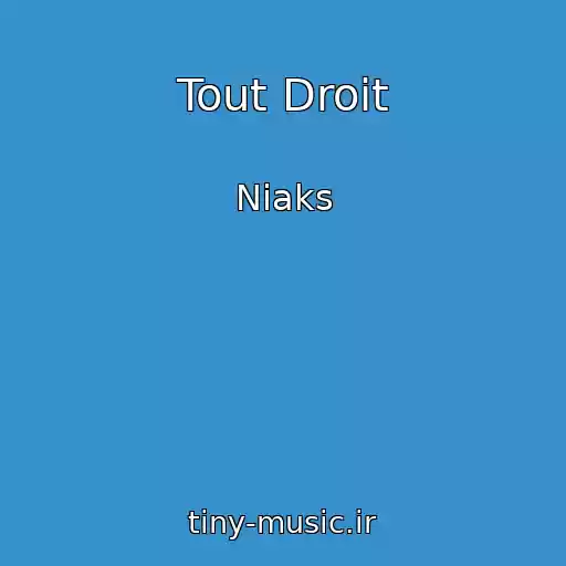 کاور آهنگ Tout Droit از Niaks