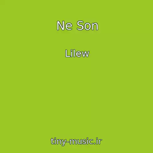 کاور آهنگ Ne Son از Lilew