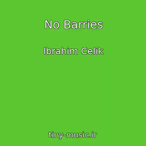 کاور آهنگ No Barries از Ibrahim Celik