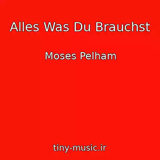 کاور آهنگ Alles Was Du Brauchst از Moses Pelham