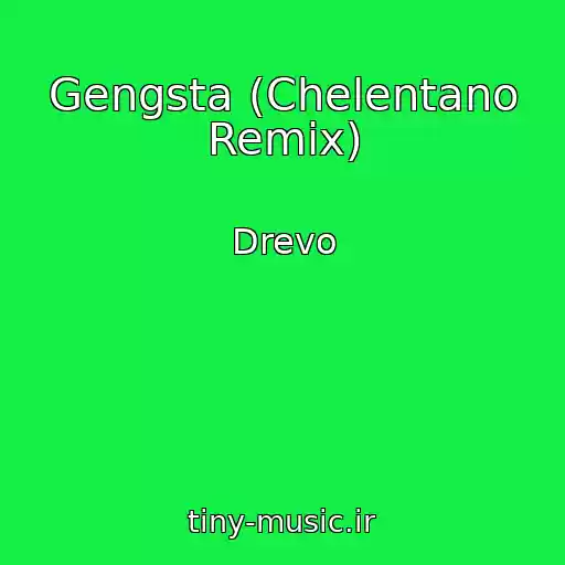 کاور آهنگ Gengsta (Chelentano Remix) از Drevo