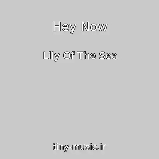کاور آهنگ Hey Now از Lily Of The Sea