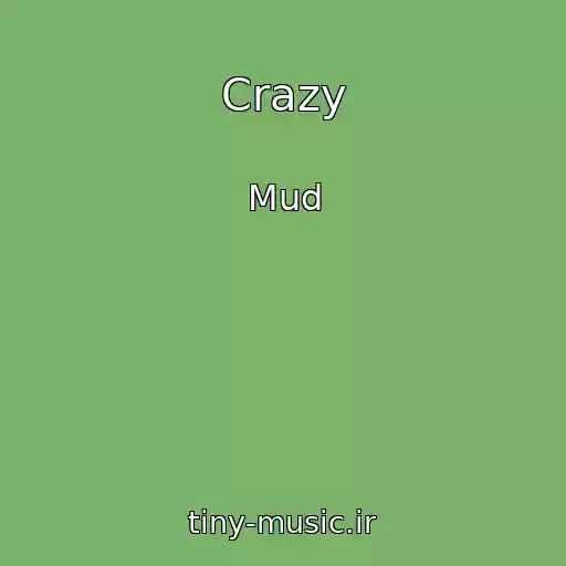 کاور آهنگ Crazy از Mud