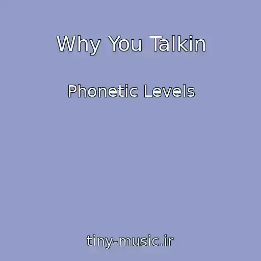 کاور آهنگ Why You Talkin از Phonetic Levels