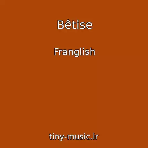 کاور آهنگ Bêtise از Franglish