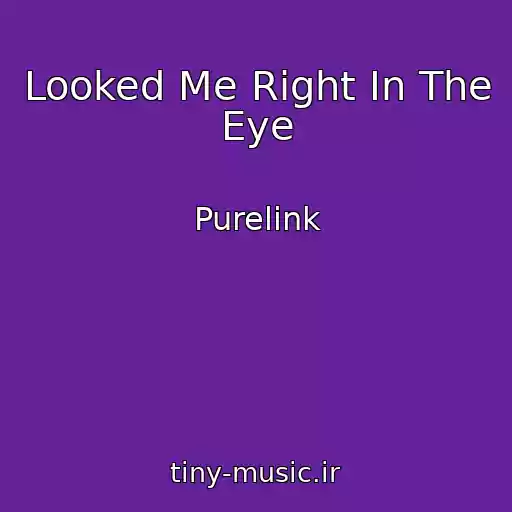 کاور آهنگ Looked Me Right In The Eye از Purelink