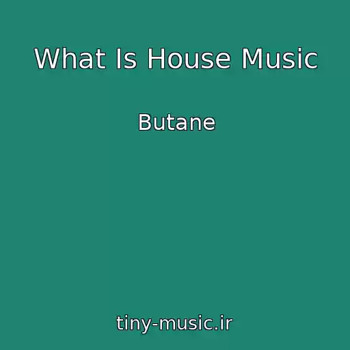 کاور آهنگ What Is House Music از Butane