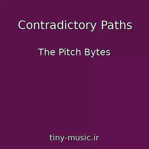 کاور آهنگ Contradictory Paths از The Pitch Bytes