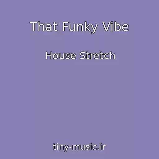 کاور آهنگ That Funky Vibe از House Stretch