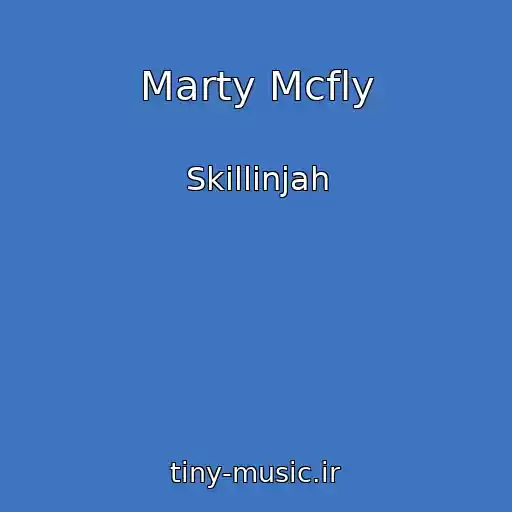 کاور آهنگ Marty Mcfly از Skillinjah