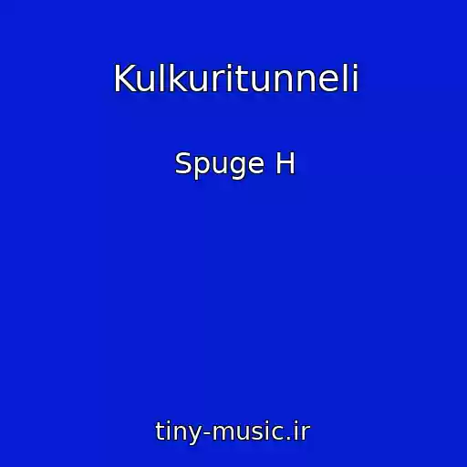 کاور آهنگ Kulkuritunneli از Spuge H
