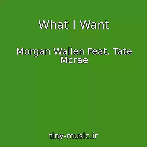 کاور آهنگ What I Want از Morgan Wallen Feat. Tate Mcrae