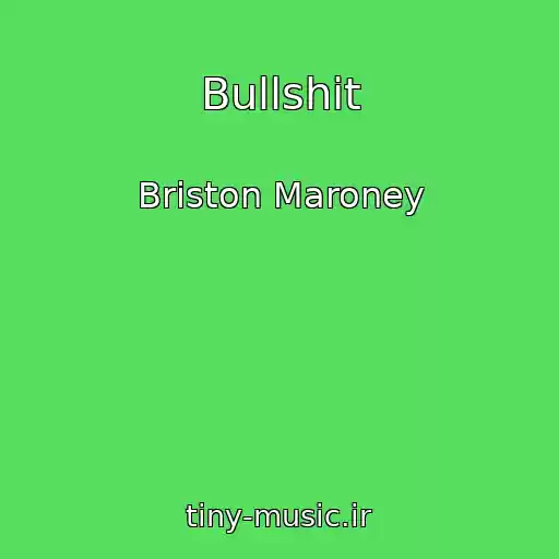 کاور آهنگ Bullshit از Briston Maroney