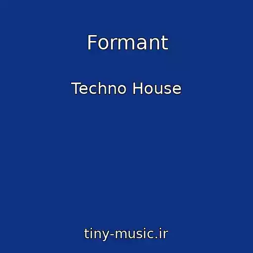 کاور آهنگ Formant از Techno House