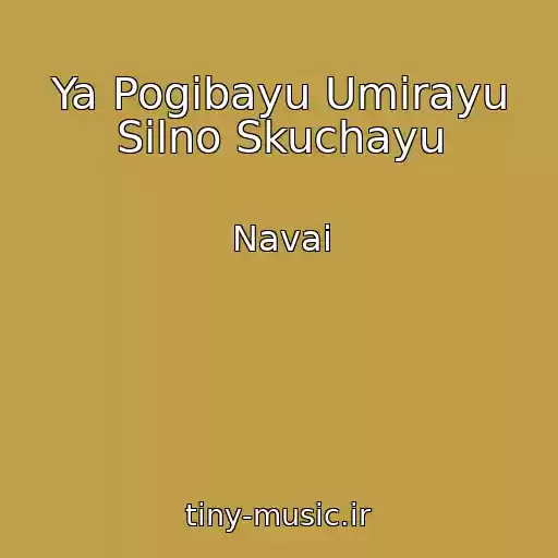 کاور آهنگ Ya Pogibayu Umirayu Silno Skuchayu از Navai