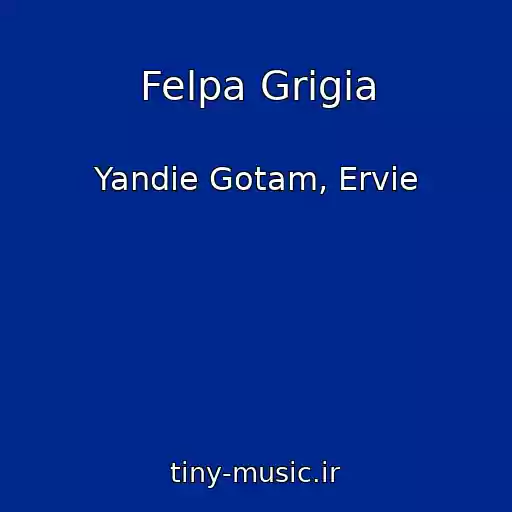 کاور آهنگ Felpa Grigia از Yandie Gotam, Ervie