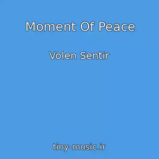 کاور آهنگ Moment Of Peace از Volen Sentir
