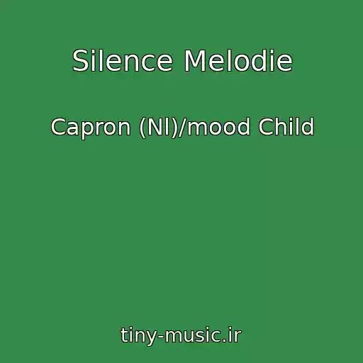 کاور آهنگ Silence Melodie از Capron (Nl)/mood Child