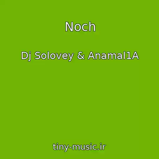 کاور آهنگ Noch از Dj Solovey & Anamal1A