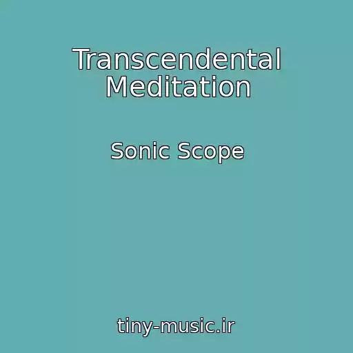 کاور آهنگ Transcendental Meditation از Sonic Scope