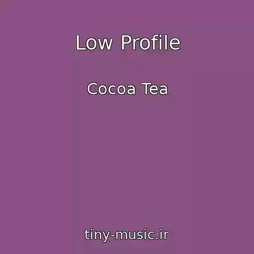 کاور آهنگ Low Profile از Cocoa Tea