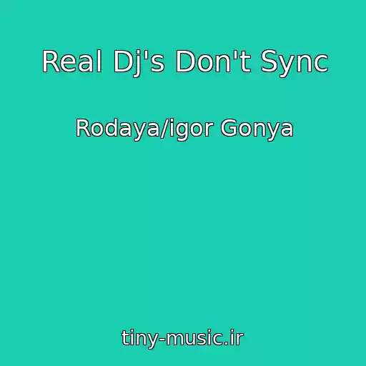 کاور آهنگ Real Dj's Don't Sync از Rodaya/igor Gonya
