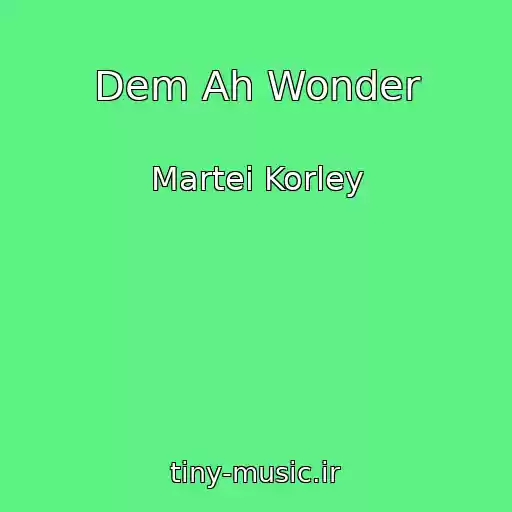 کاور آهنگ Dem Ah Wonder از Martei Korley