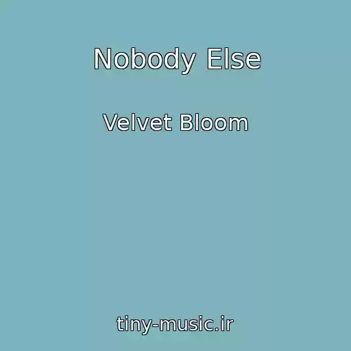 کاور آهنگ Nobody Else از Velvet Bloom