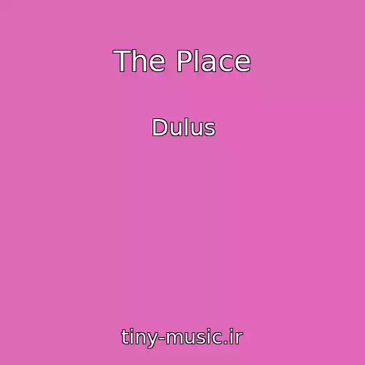 کاور آهنگ The Place از Dulus