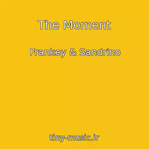 کاور آهنگ The Moment از Frankey & Sandrino