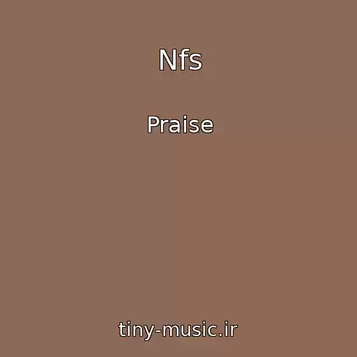 کاور آهنگ Nfs از Praise