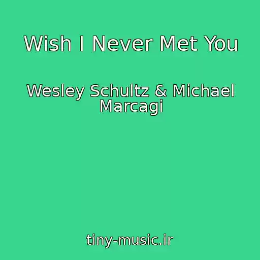 کاور آهنگ Wish I Never Met You از Wesley Schultz & Michael Marcagi